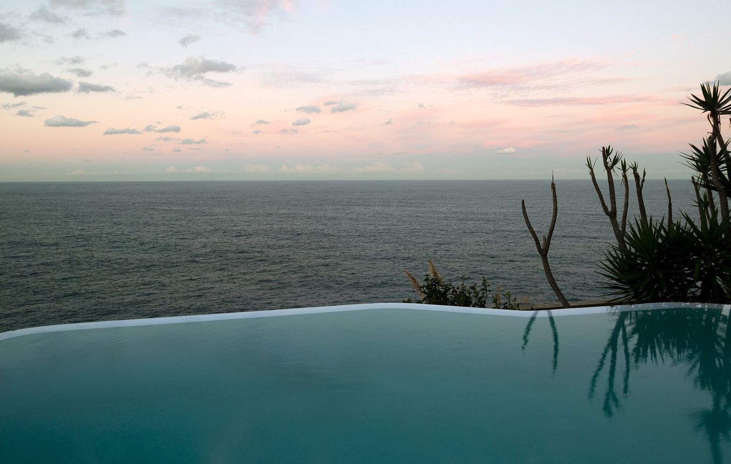 Holman House  View of infinity pool overlooking ocean and horizon at cliff house in Dover Heights Sydney designed by Durbach Block Jaggers Architects