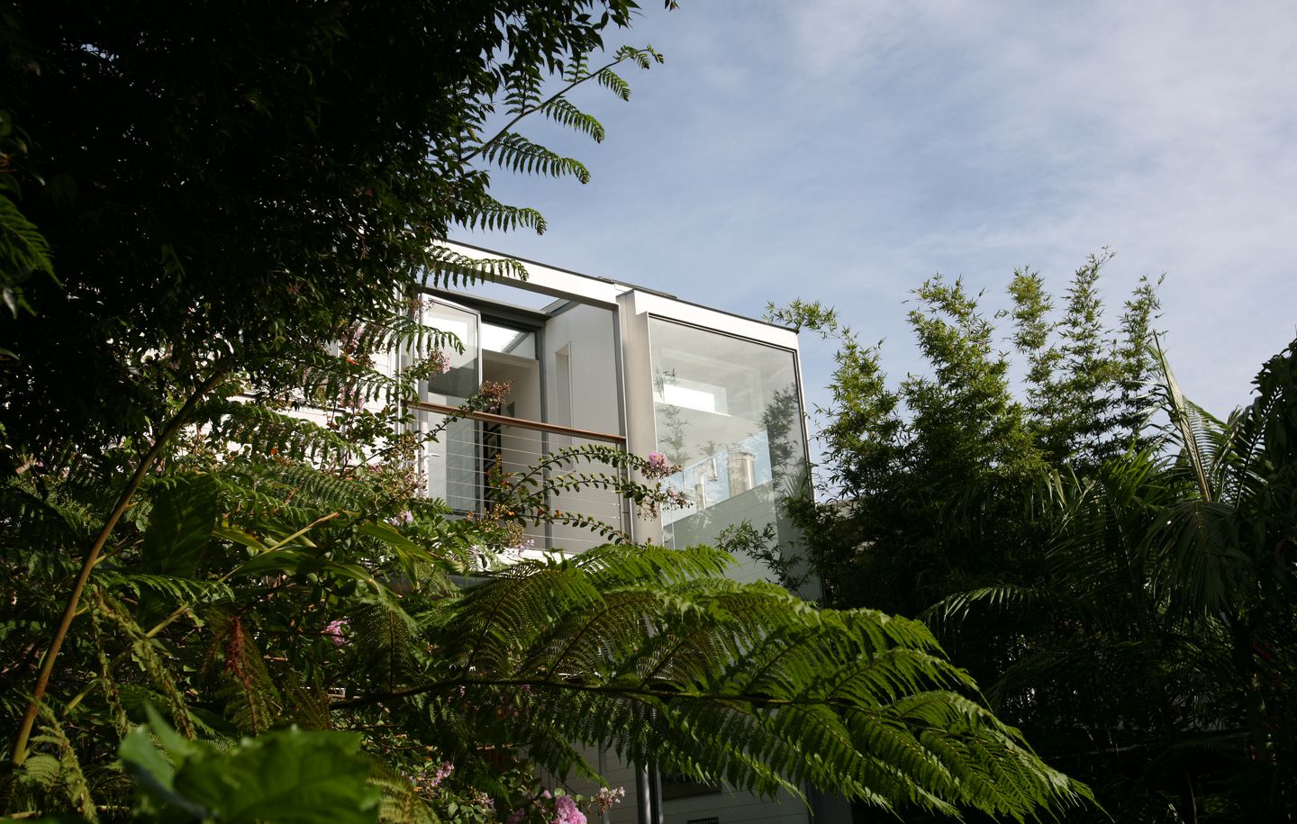 View of frameless glass window from fern garden in Watsons Bay Sydney