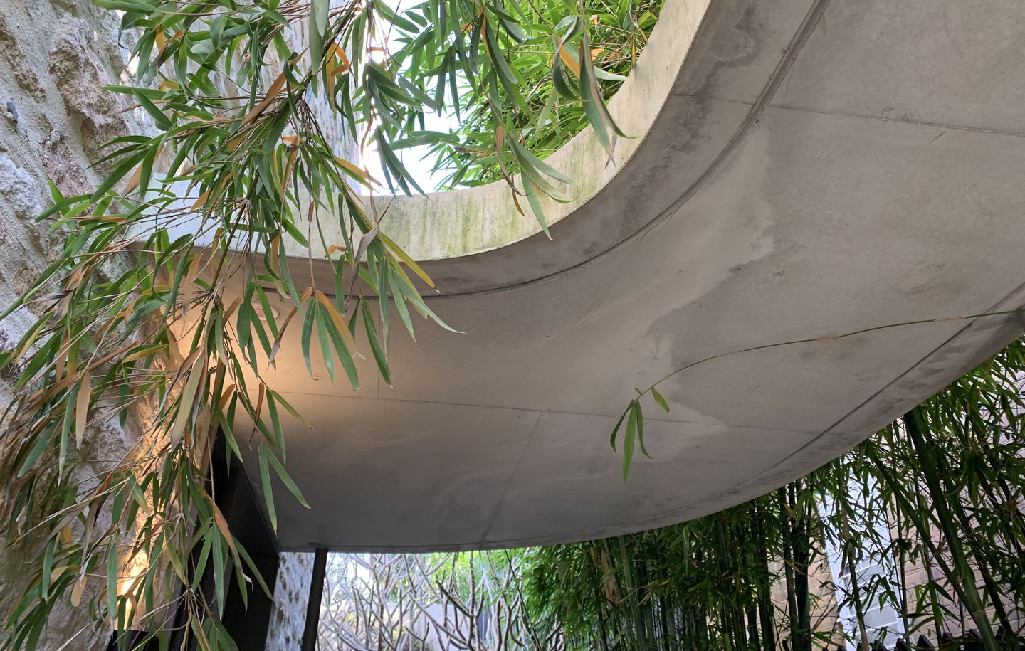 Lavender Bay  Durbach Block Jaggers