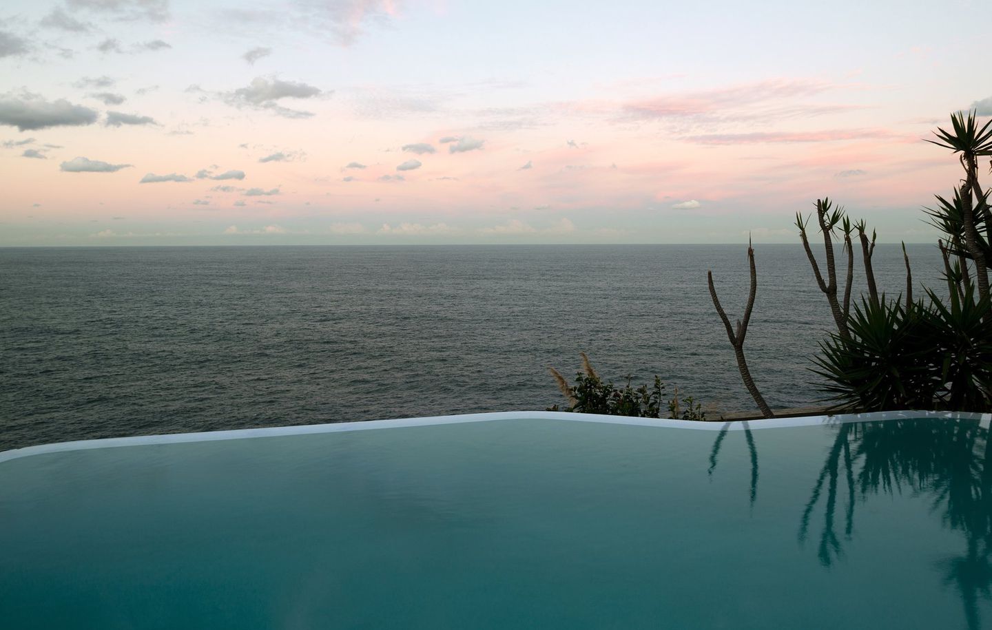 View of infinity pool overlooking ocean and horizon at cliff house in Dover Heights Sydney designed by Durbach Block Jaggers Architects