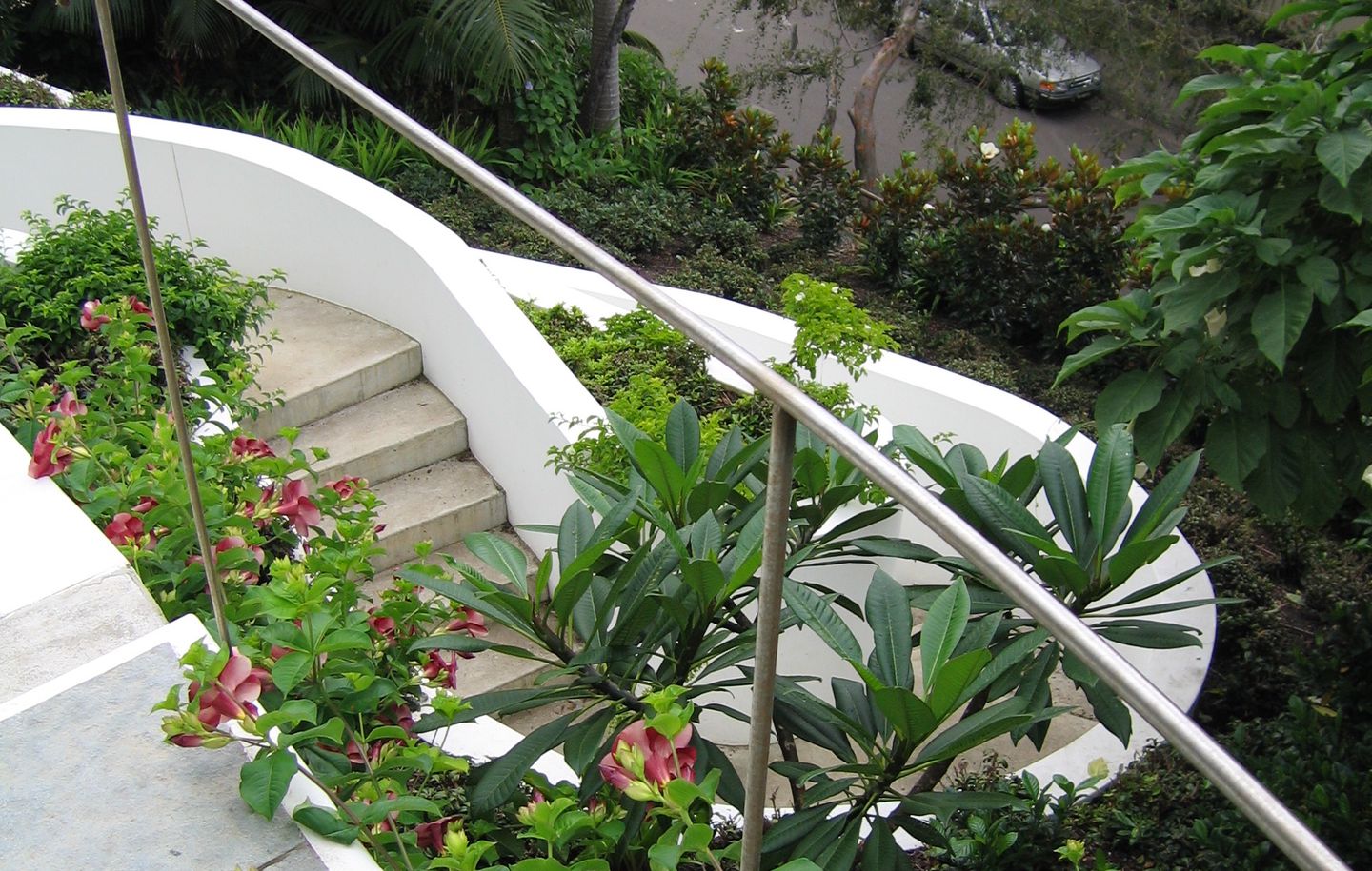 View of curved stone garden stairs with white rendered walls and fine stainless steel handrails at a family house at Bellevue Hill Sydney designed by Durbach Block Jaggers Architects