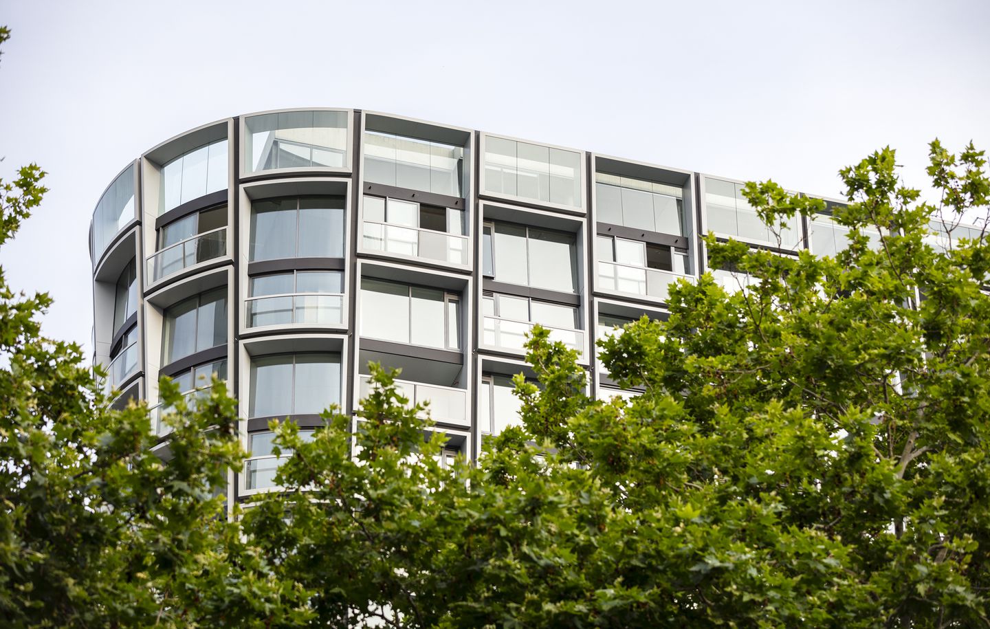 Close up view of Omnia Apartment building behind tree in Potts Point Sydney designed by Durbach Block Jaggers Architects Sydney